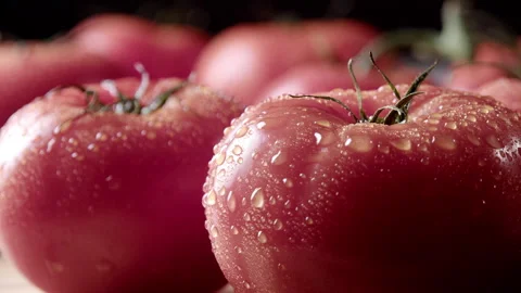 A drop of water falls on fresh tomatoes close-up slow motion. Stock Footage 267617686