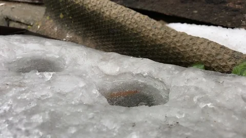 A drop of water falls on the ice. Slow motion Stock Footage 111180468