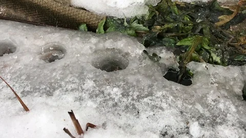 A drop of water falls on the ice. Slow motion 動画素材 111180545
