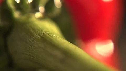A drop of water flows down the stalk Stock Footage 93956337