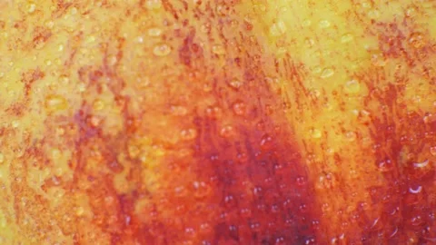 Drop of water flows down the surface of a ripe juicy peach Stock Footage 219418193