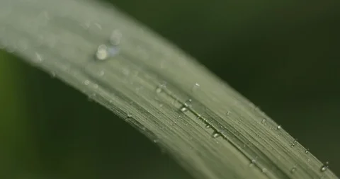 Drop of water Stock Footage 119320342