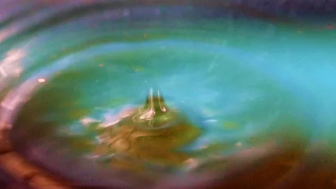 A drop of water Stock Footage 310046464