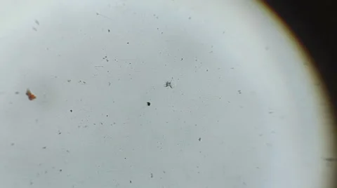 Drop of water forms ice crystal snowflake Stock Footage 60696488