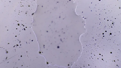 A drop of water freezes under a microscope Stock-Footage 86788541