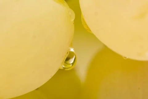 Drop of water on the grapes. macro Stock Photos