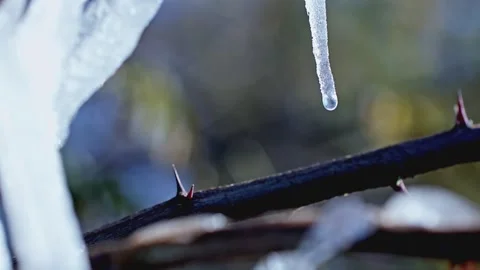 A drop of water, Ice and snow melt water dripping water, water droplets drip Stock Footage 331493852