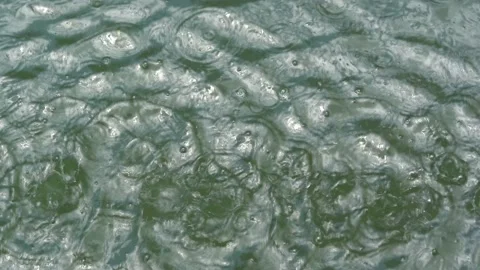 Drop of water on the lake Video stock 144294921