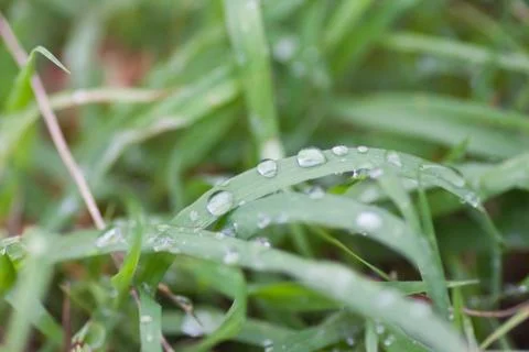 Drop of water Stock Photos