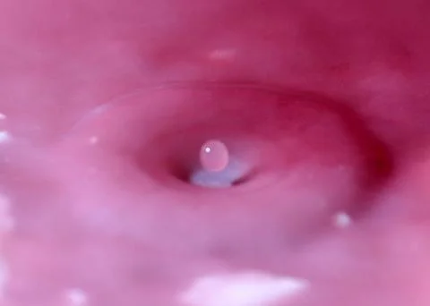 Drop of water Stock Photos