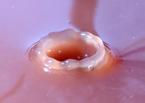 Drop water Stock Photos