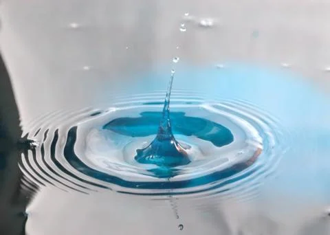 Drop of water Фото