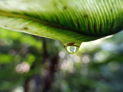 Drop Water 스톡 사진