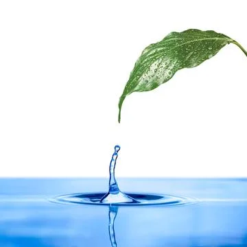 Drop of water Stock Photos