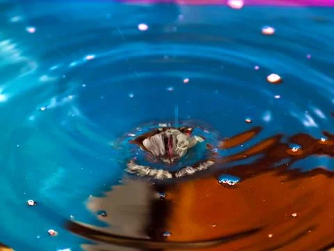 Drop of water Stock Photos