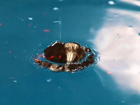 A drop of water Stockfoto's