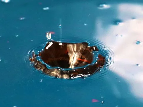 A drop of water Stock-Fotos