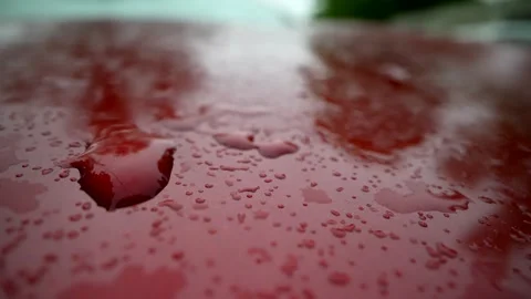 Drop of Water in the red surface. Car hood after rain. Reflection on surface Stock Footage 241304828
