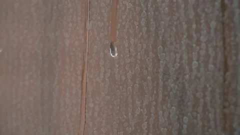 A drop of water running down glass. Stock Footage 312624586