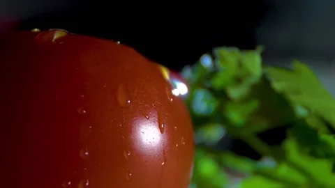 Drop Of Water Sliding On Side of Ripe Tomato 스톡 동영상 233353200