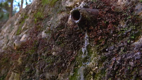 Drop of water in slow motion Stock Footage 169578572