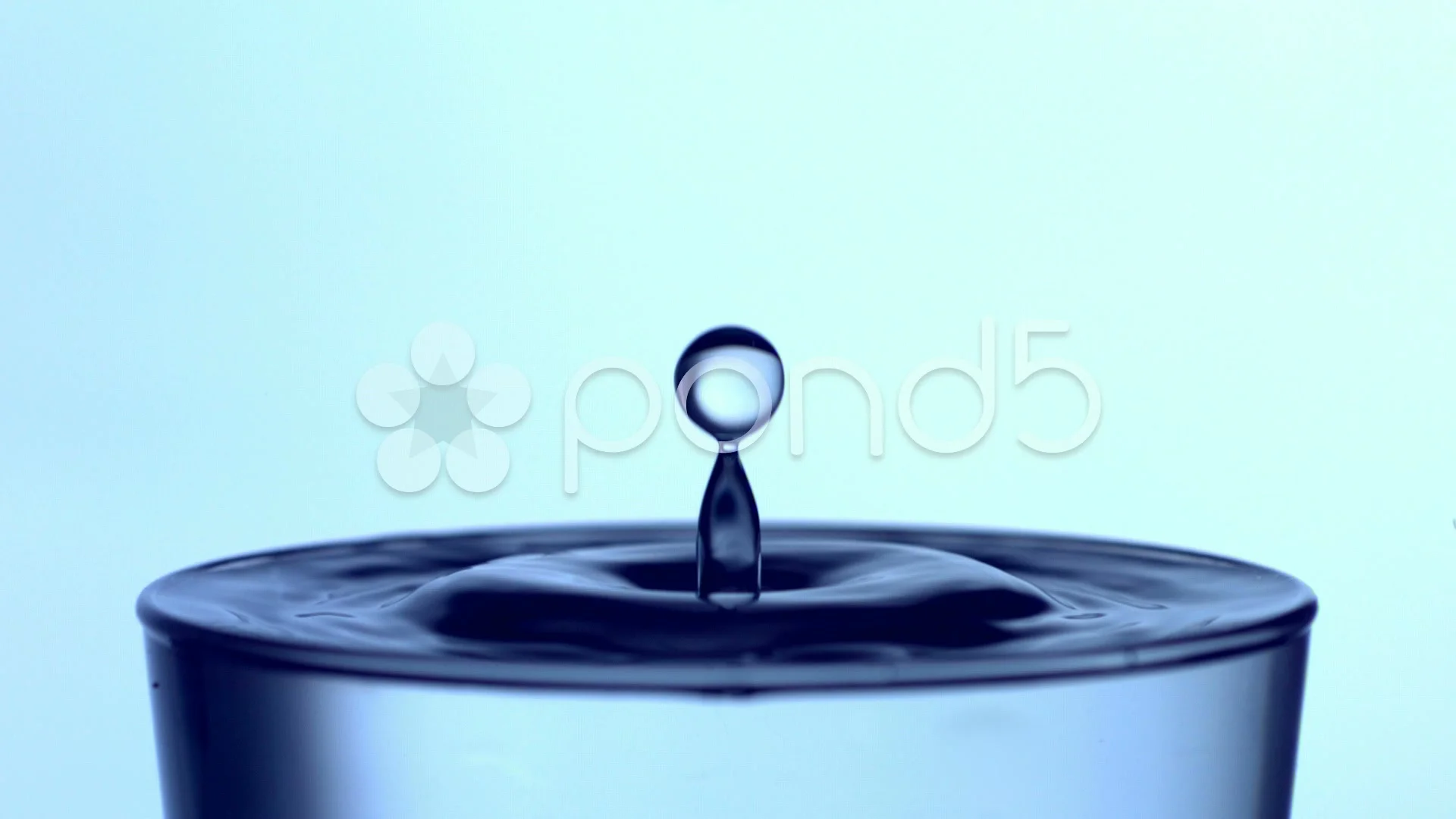 Drop of water splashing into cup, slow m, Stock Video