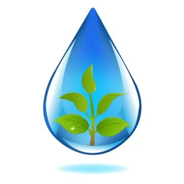 Drop of water with sprout Stock Illustration