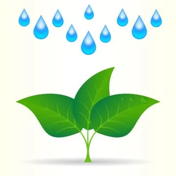 Drop of water with sprout. Stock Illustration