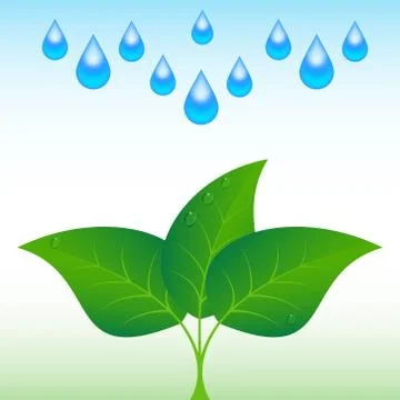 Drop of water with sprout. Stock Illustration