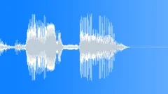 Drop Wooden Log On Carpeted Floor 04 Sound Effect