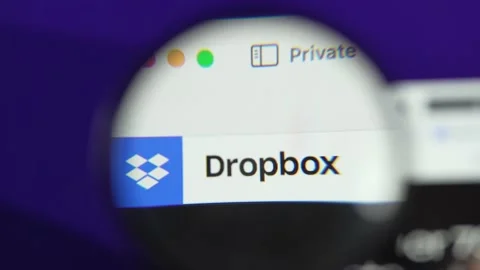 Dropbox Cloud Storage Company Logo on Thier Website Online Stock Footage 219151538