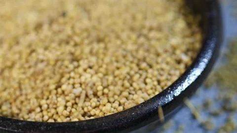 Droping fresh Millets on a bowl 库存影片 162625996