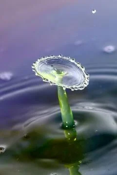 Droplet collision Stock Photos