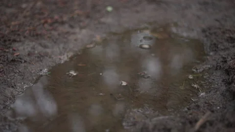 Droplet falls into puddle breaking reflection - Slowmotion Close-up Stock Footage 144261367