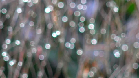 Droplet Vídeo Stock 332438551