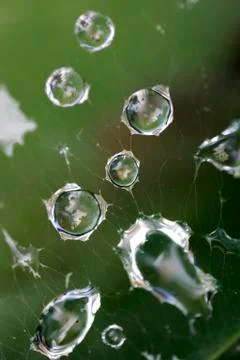 Droplet network Stock Photos