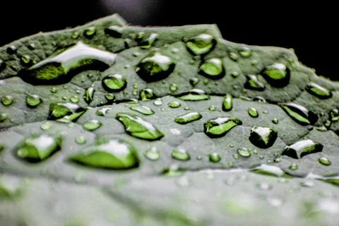 Droplet Stock Photos