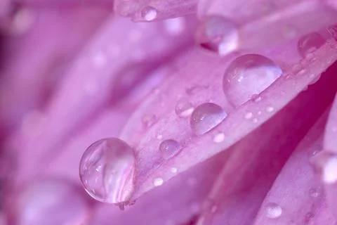 Droplet Stock Photos