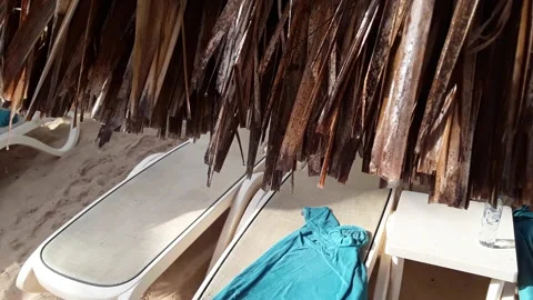 Droplets drip around edges of thatched beach umbrellas after Caribbean rainstorm Video stock 142830548