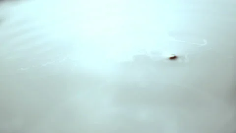 Droplets fall and create huge rings on transparent water Stock Footage 231219833