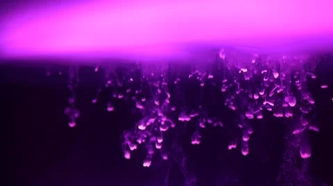 Droplets Fall Downward in a Purple Cloud Tank Stock Footage 62578690