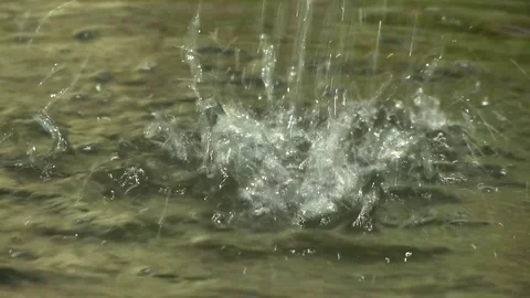 Droplets fall into the water Stock Footage 115328059