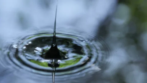 Droplets Fall into Water HD Stock Footage 233892196