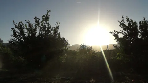 Droplets in the Field Stockbeeldmateriaal 32306295