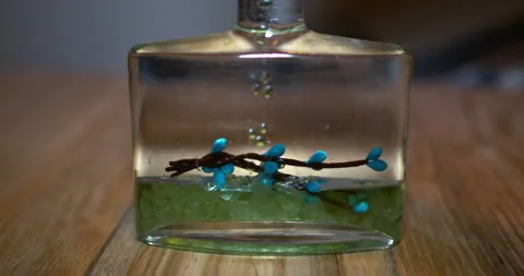 Droplets Stock Footage 169111987