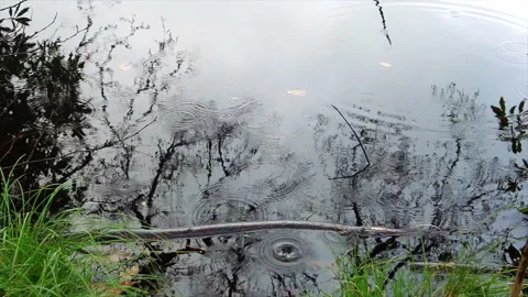 Droplets Video stock 244787657