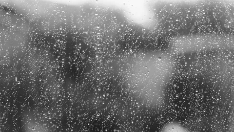Droplets on Glass Stock Footage 81350688