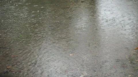 Droplets or drops of rain falling heavily in a puddle of water Stock Footage 45806051