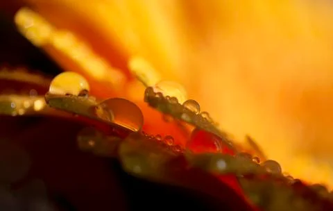 Droplets Stock Photos