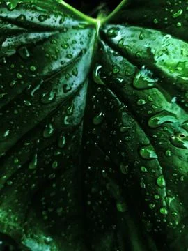 Droplets 写真素材